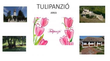 Tulipanzió, Arka, Arka a Boldogkői vár szomszédságában (thumb)